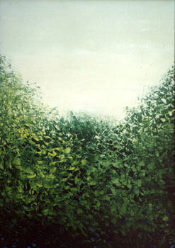 alba caos verde 50x70 1995